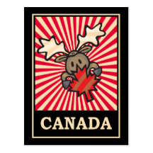 Canada Moose Postcard