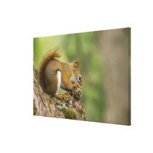 Canada, Nova Scotia, Halifax. Public Gardens, Canvas Print