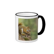 Canada, Nova Scotia, Halifax. Public Gardens, Coffee Mug