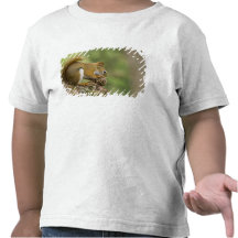 Canada, Nova Scotia, Halifax. Public Gardens, Tee Shirt
