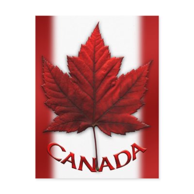 Canada Souvenir Postcards Canada Flag Art Cards by artist_kim_hunter