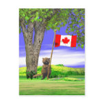 Canadian Beaver and Flag Postcard