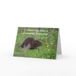 Canadian Beaver Funny Wildlife Greeting Card