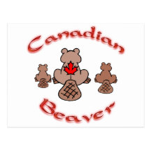 Canadian Beaver Postcard