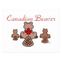 Canadian Beaver Postcard