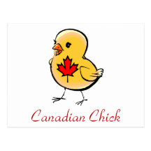 Canadian Chick Postcard