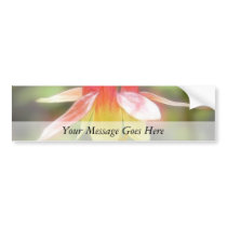 Canadian Columbine (Aquilegia Canadensis) Bumper Stickers