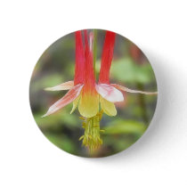 Canadian Columbine (Aquilegia Canadensis) Pin