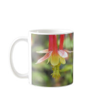 Canadian Columbine (Aquilegia Canadensis) Mug