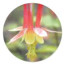 Canadian Columbine (Aquilegia Canadensis) Round Sticker