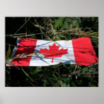 Canadian Flag Poster