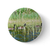 Canadian Geese Swimming Pinback Buttons