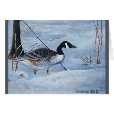 Canadian Goose Cards by klocke