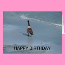 Canadian Goose & Cardinal, Birthday cards