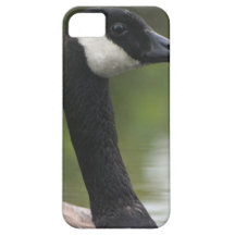 Canadian Goose iPhone 5 Covers