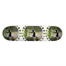 Canadian Goose Nesting Skateboard