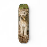Canadian Lynx 0169e Skate Board Decks