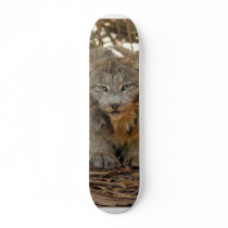 Canadian Lynx 1915e Skateboard
