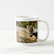 Canadian Lynx Coffee Mugs