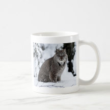 Canadian Lynx in the Snow Mugs