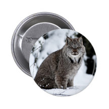 Canadian Lynx in the Snow Pinback Buttons