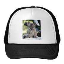 Canadian Lynx Kitten Hats