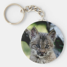 Canadian Lynx Kitten Key Chains