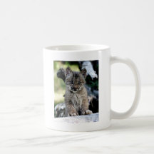 Canadian Lynx Kitten Mug