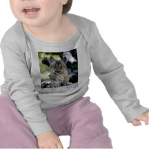 Canadian Lynx Kitten Tee Shirts