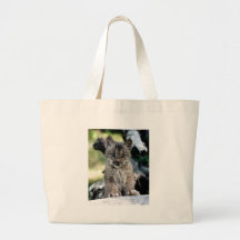 Canadian Lynx Kitten Tote Bags