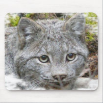 Canadian Lynx mousepads