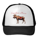 Canadian Moose Hat