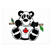 Canadian Panda Postcard