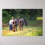 Canal Boat Mules posters