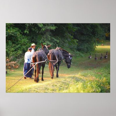 Canal Boat Mules Poster by almedic104