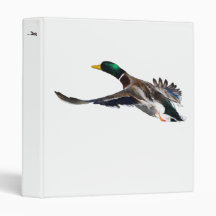 canard