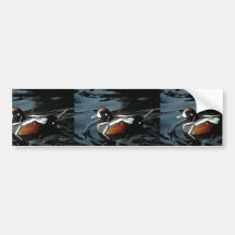 Canard de harlequin autocollants pour voiture