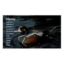 Canard de harlequin cartes de visite professionnelles