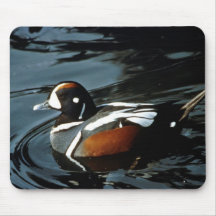 Canard de harlequin tapis de souris
