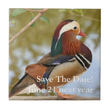Canard de mandarine carreau en céramique