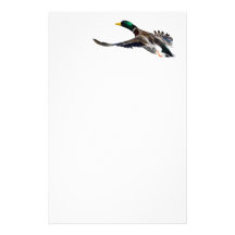 canard papier à lettre customisé