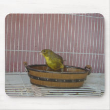Canary old time bath tub mouse pads