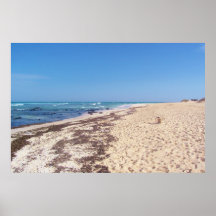 Canary perfection print
