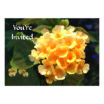 Canary Yellow Lantana Custom Announcement