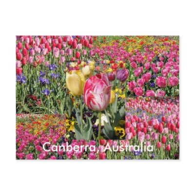 Canberra Australia postcard by ashroc