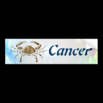 Cancer Bumper Sticker bumper stickers