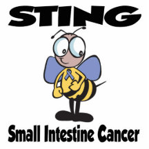 Cancer d'intestin grêle de STING Photo En Découpe