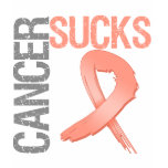 Cancer Sucks - Endometrial Cancer t-shirts