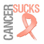 Cancer Sucks - Uterine Cancer t-shirts