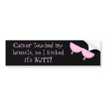 Cancer touched my breasts.... bumper sticker bumper stickers